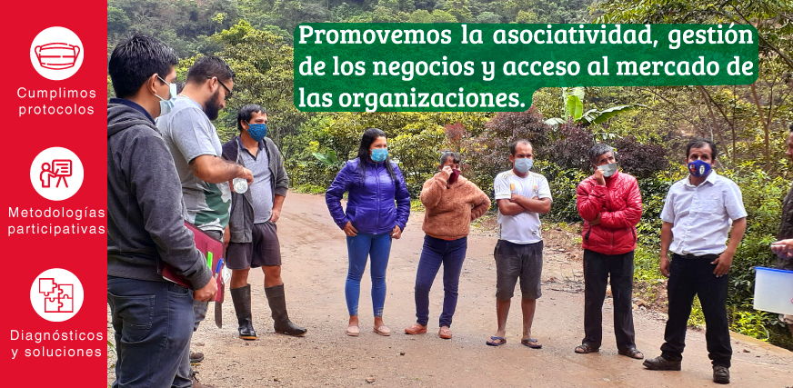 Cursos presenciales